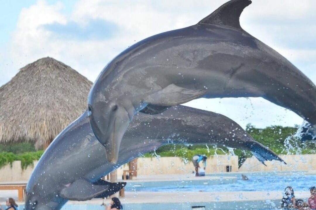 Photo of Outdoor in Punta Cana