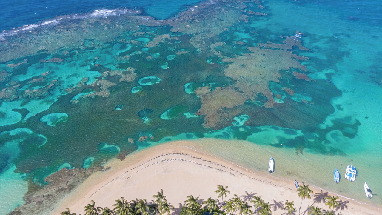 Photo of Others in Las Terrenas