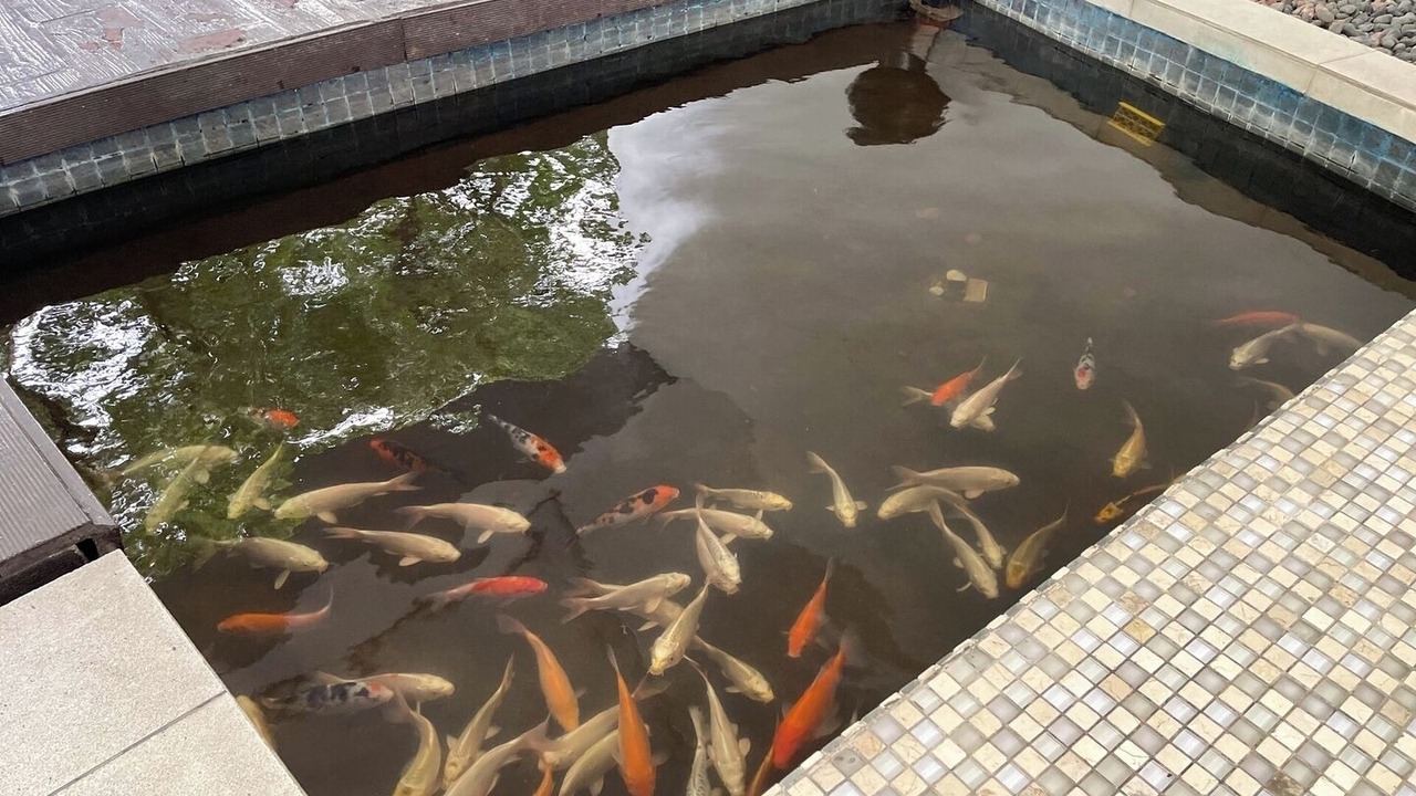 Photo of Others in Bonifacio Global City