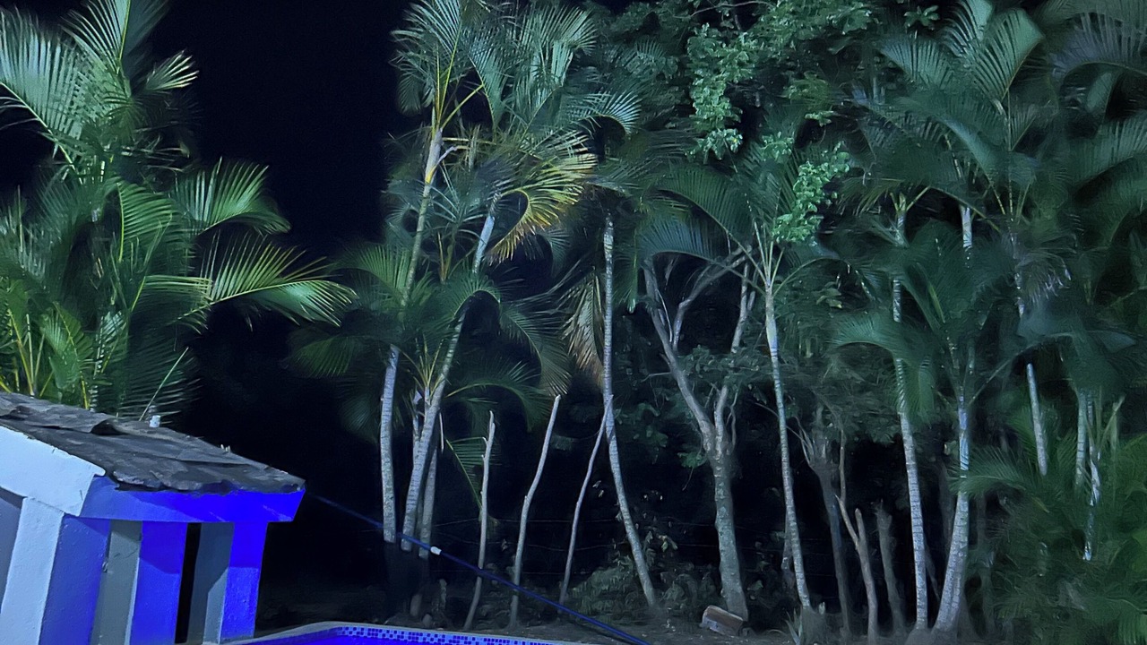 Photo of Outdoor in Puerto Plata