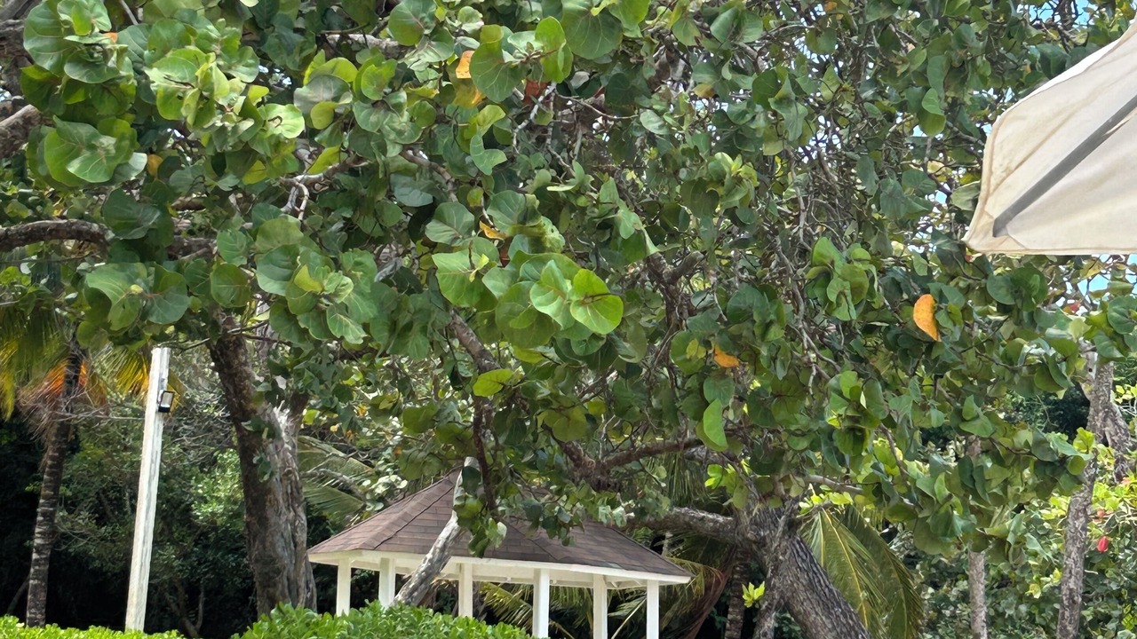 Photo of Others in Puerto Plata