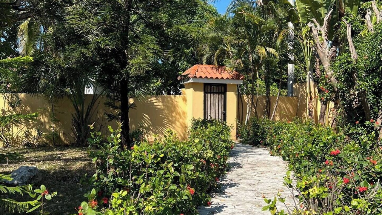 Photo of Outdoor in Nizao