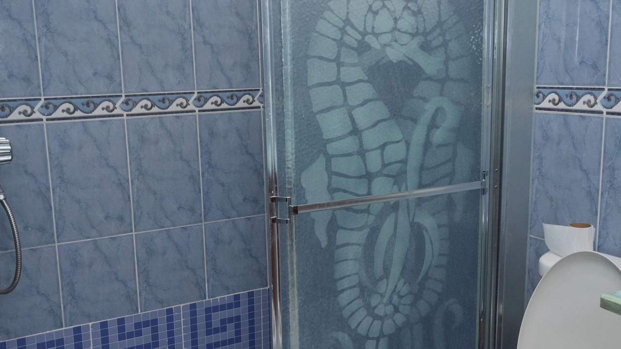 Photo of Bathroom in La Vega