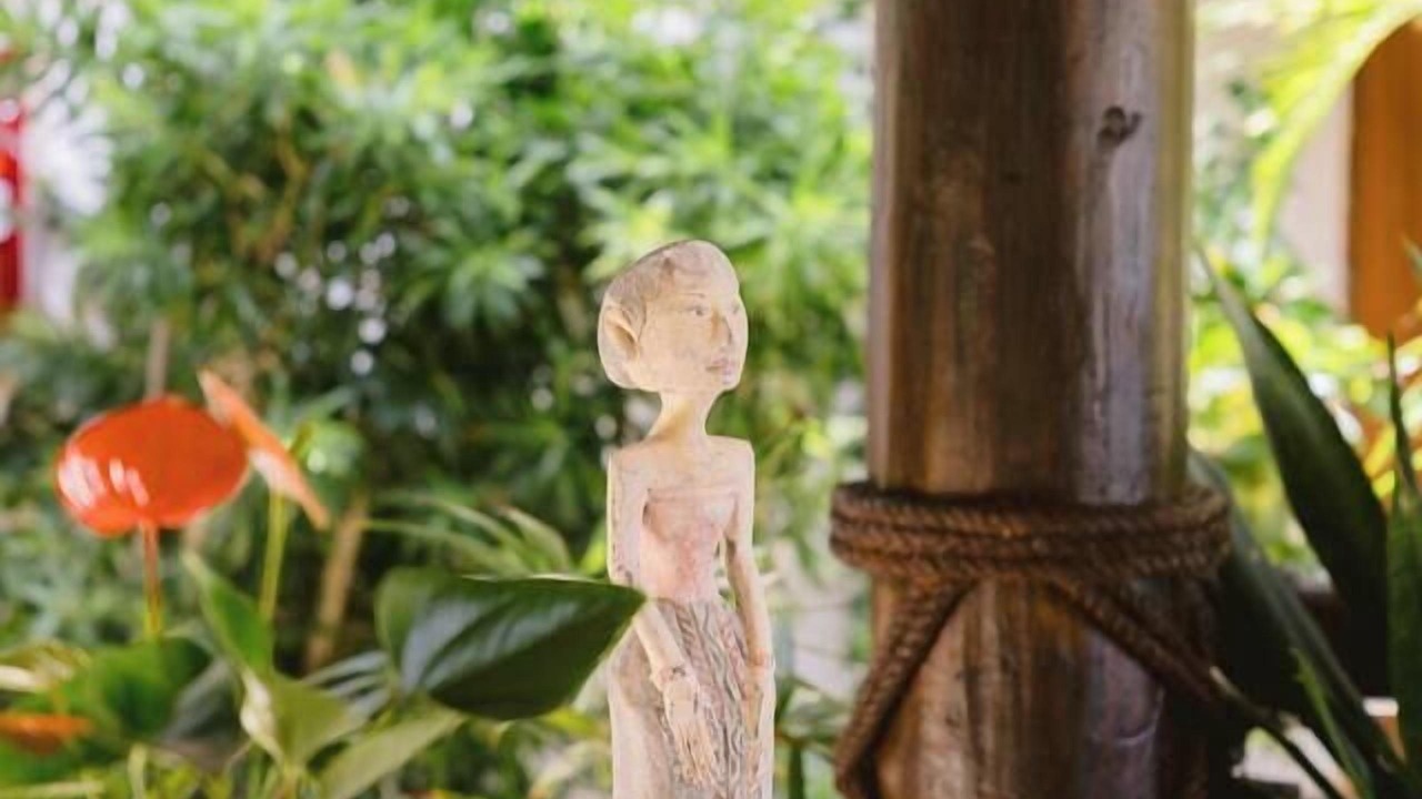 Photo of Others in Punta Cana