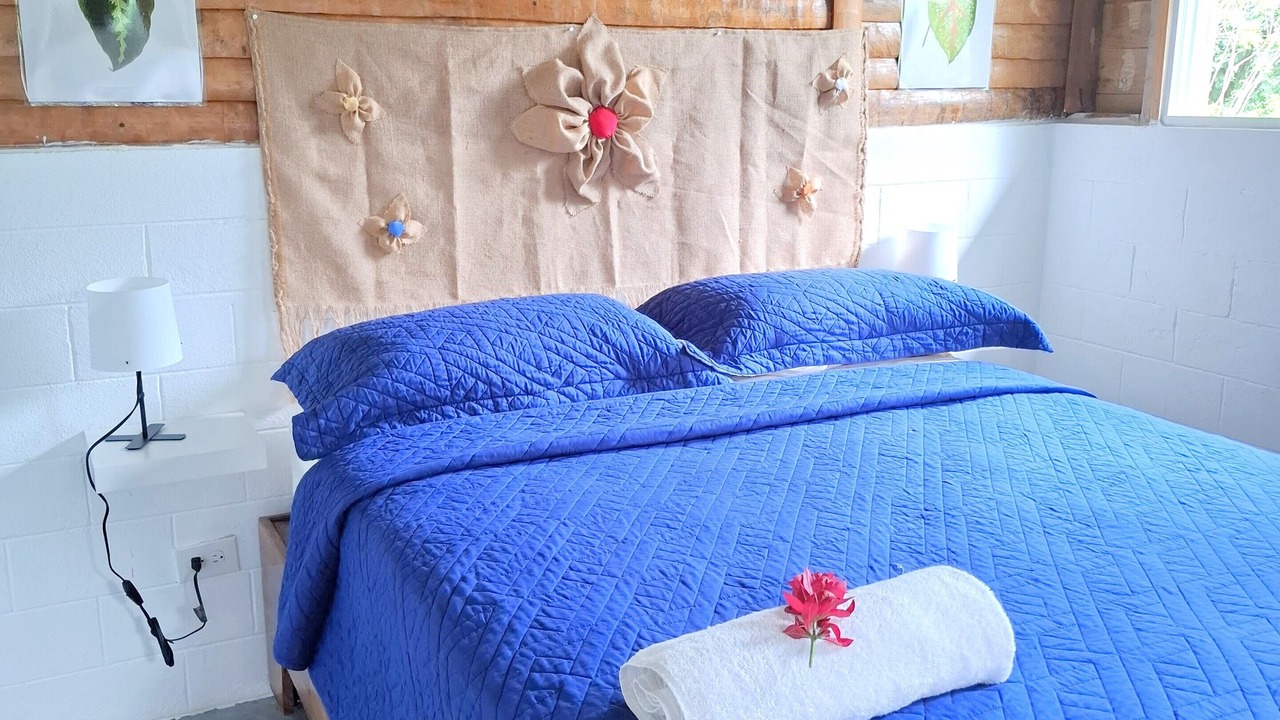 Photo of Bedroom in Los Cacaos