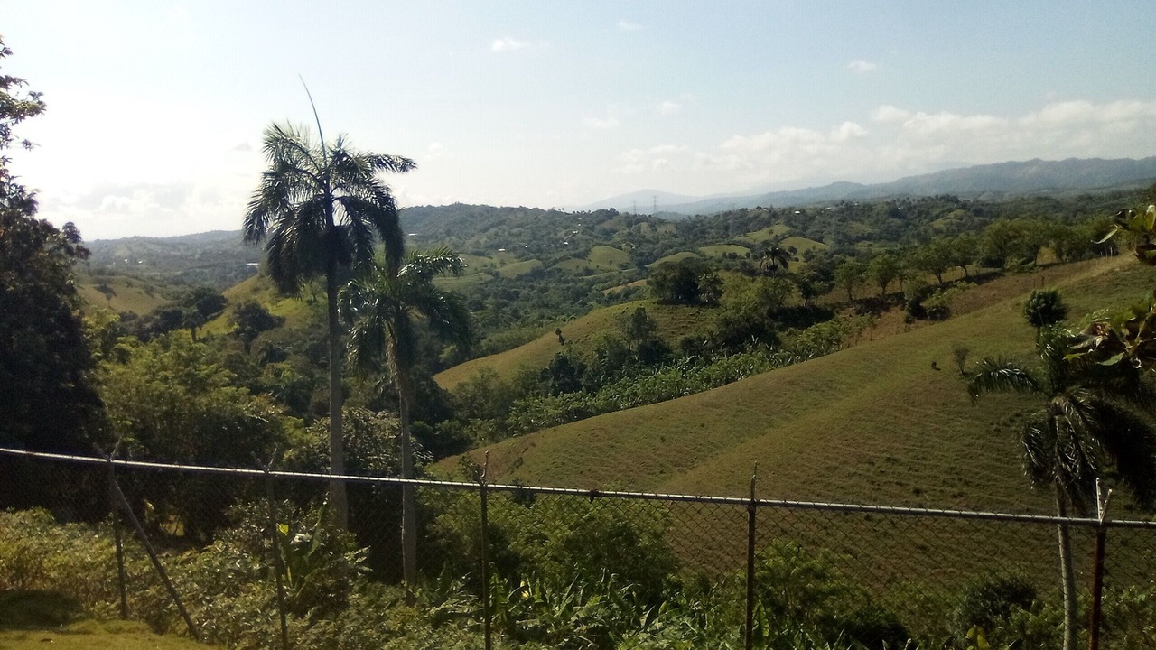 Photo of Others in La Vega