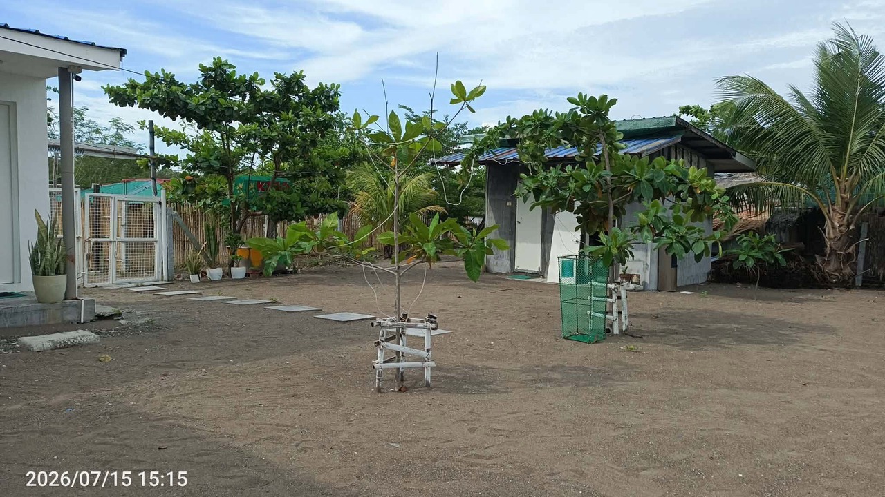 Photo of Outdoor in Palauig