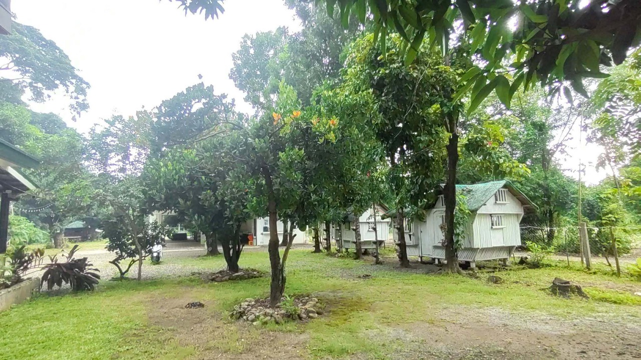 Photo of Outdoor in Palauig