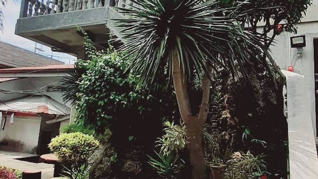 Photo of Outdoor in Manoc-Manoc
