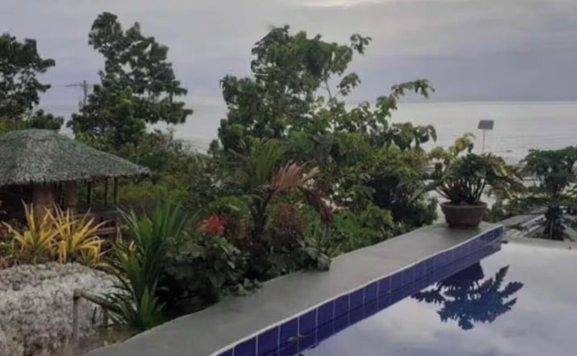 Photo of Outdoor in Lila