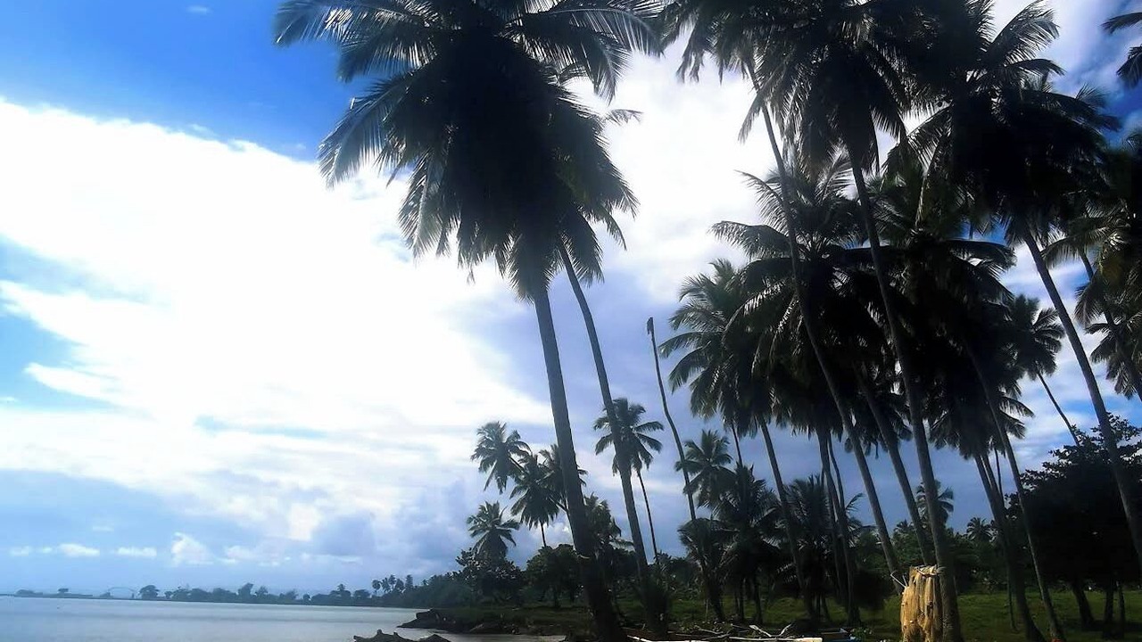 Photo of Others in Puerto Bahia