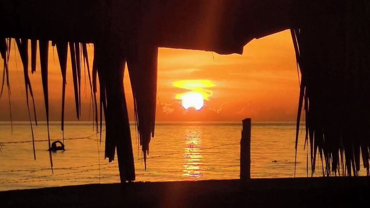Photo of Others in Puerto Bahia