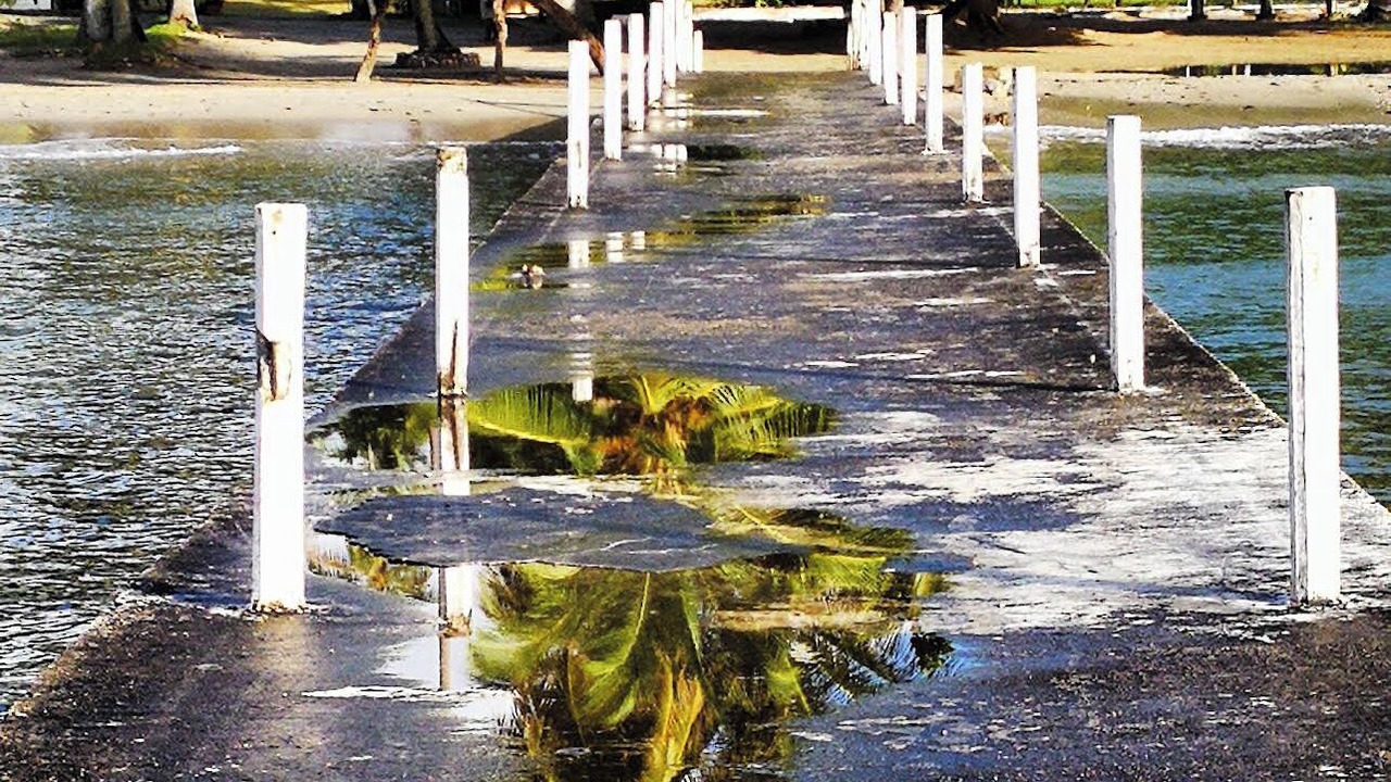 Photo of Others in Puerto Bahia