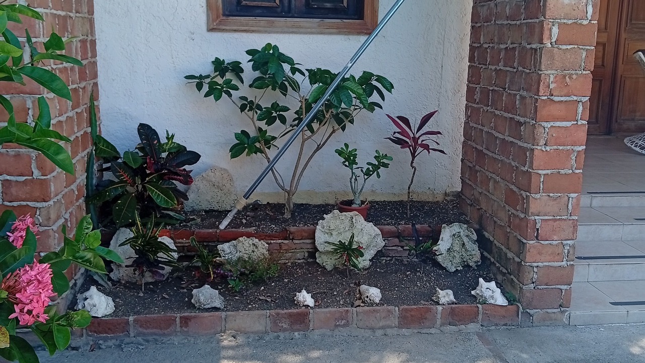 Photo of Outdoor in Villas Del Mar