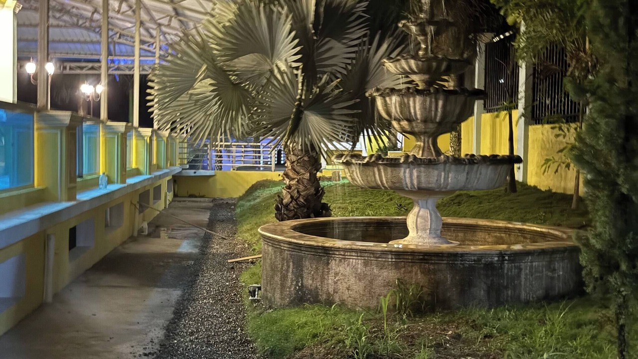 Photo of Outdoor in Pedro Brand