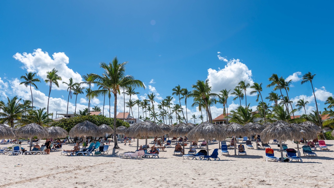 Photo of Others in Playa Bibijagua