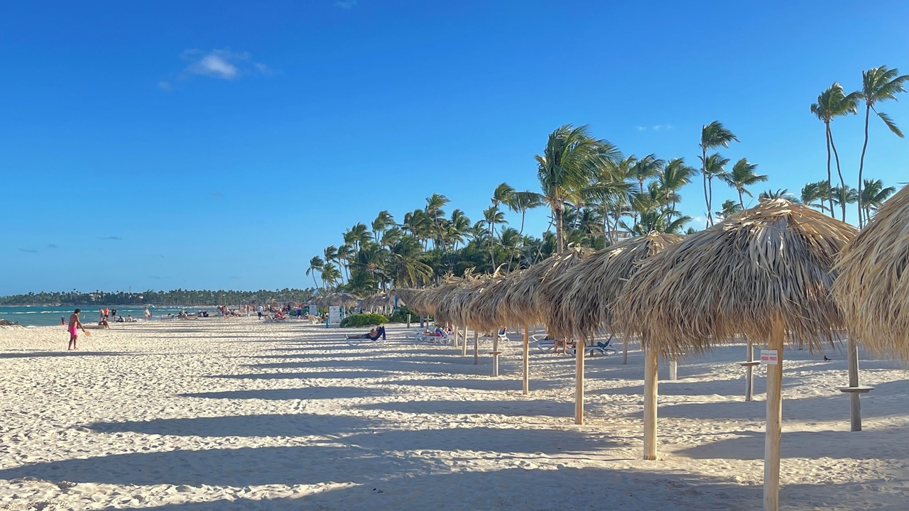 Photo of Others in Playa Bibijagua