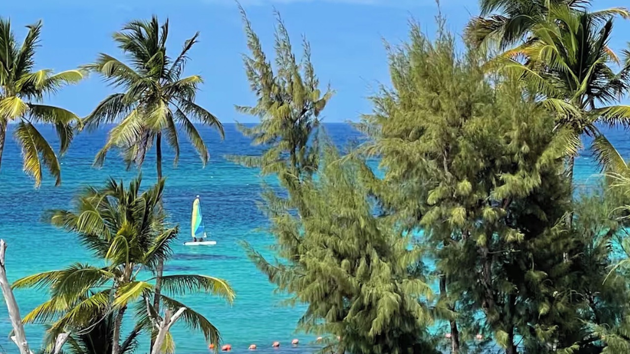 Photo of Others in Bavaro