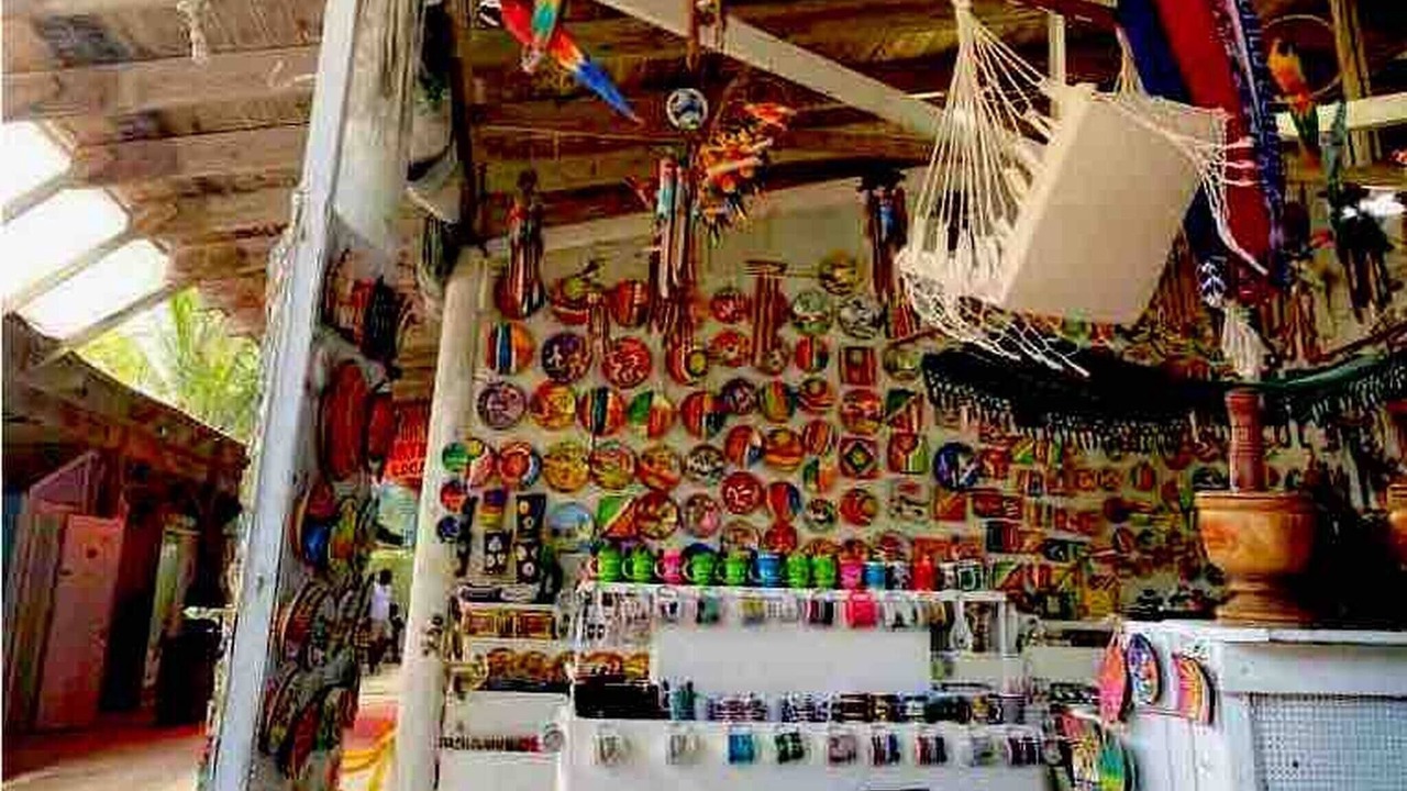 Photo of Others in Playa Bibijagua