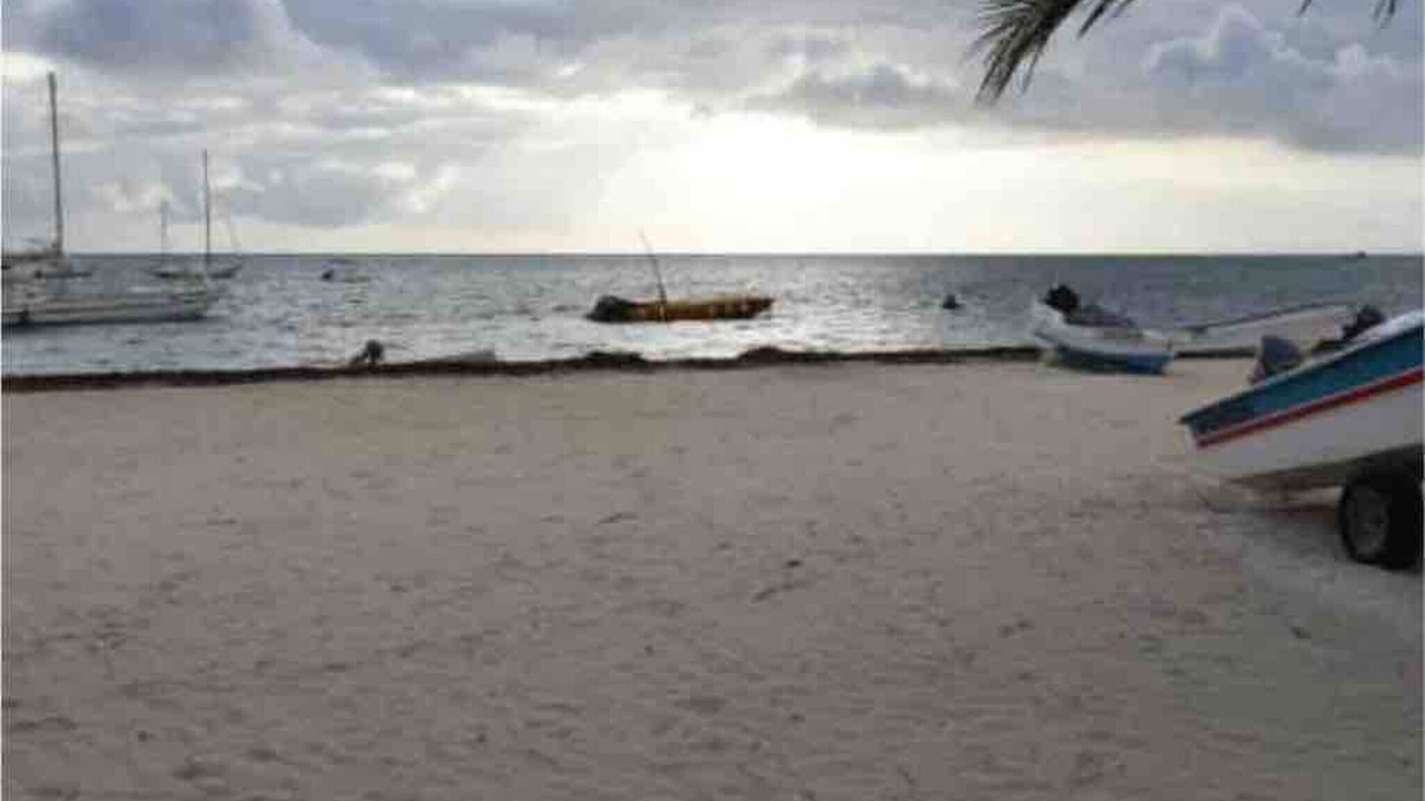 Photo of Others in Playa Bibijagua