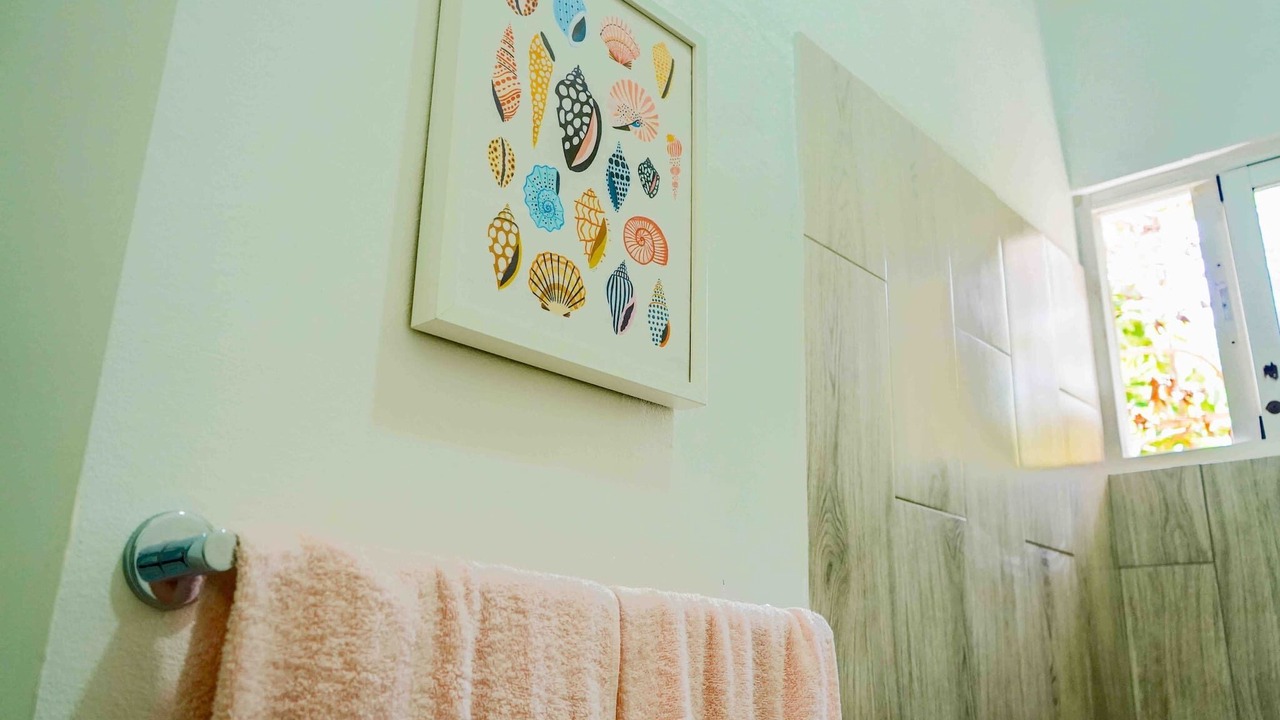 Photo of Bathroom in Playa Bibijagua