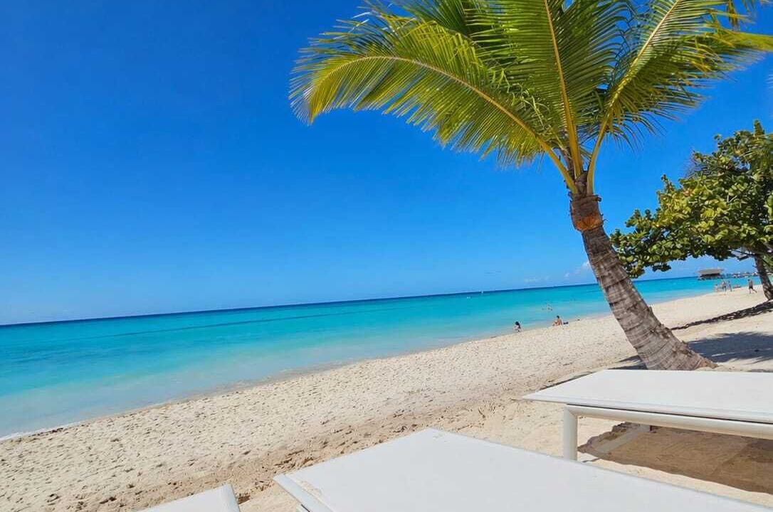 Photo of Others in Bayahibe