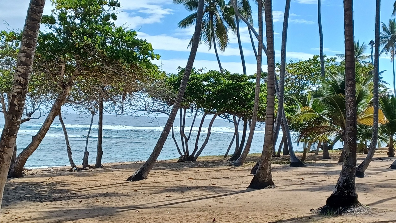 Photo of Others in Nagua