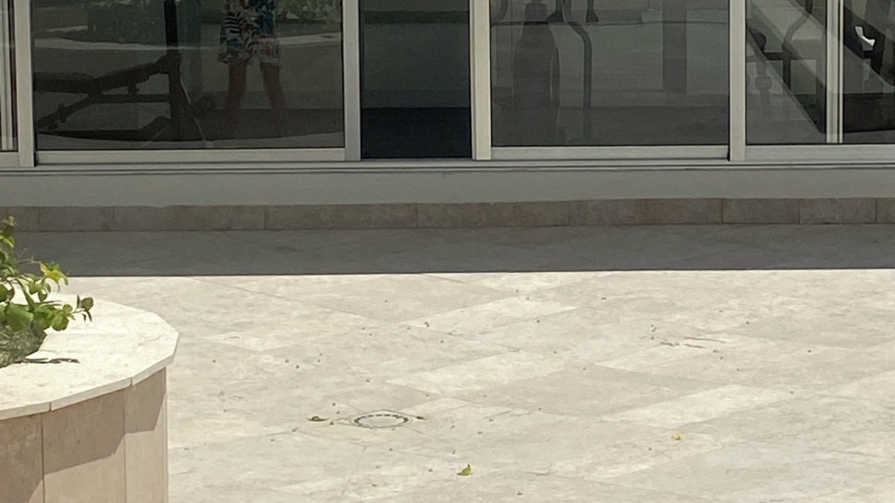 Photo of Outdoor in Boca Chica