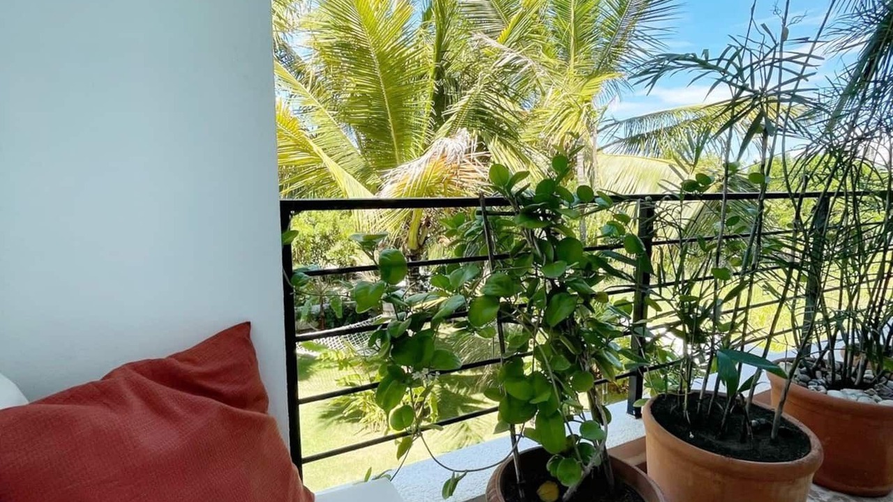 Photo of Outdoor in Cabarete