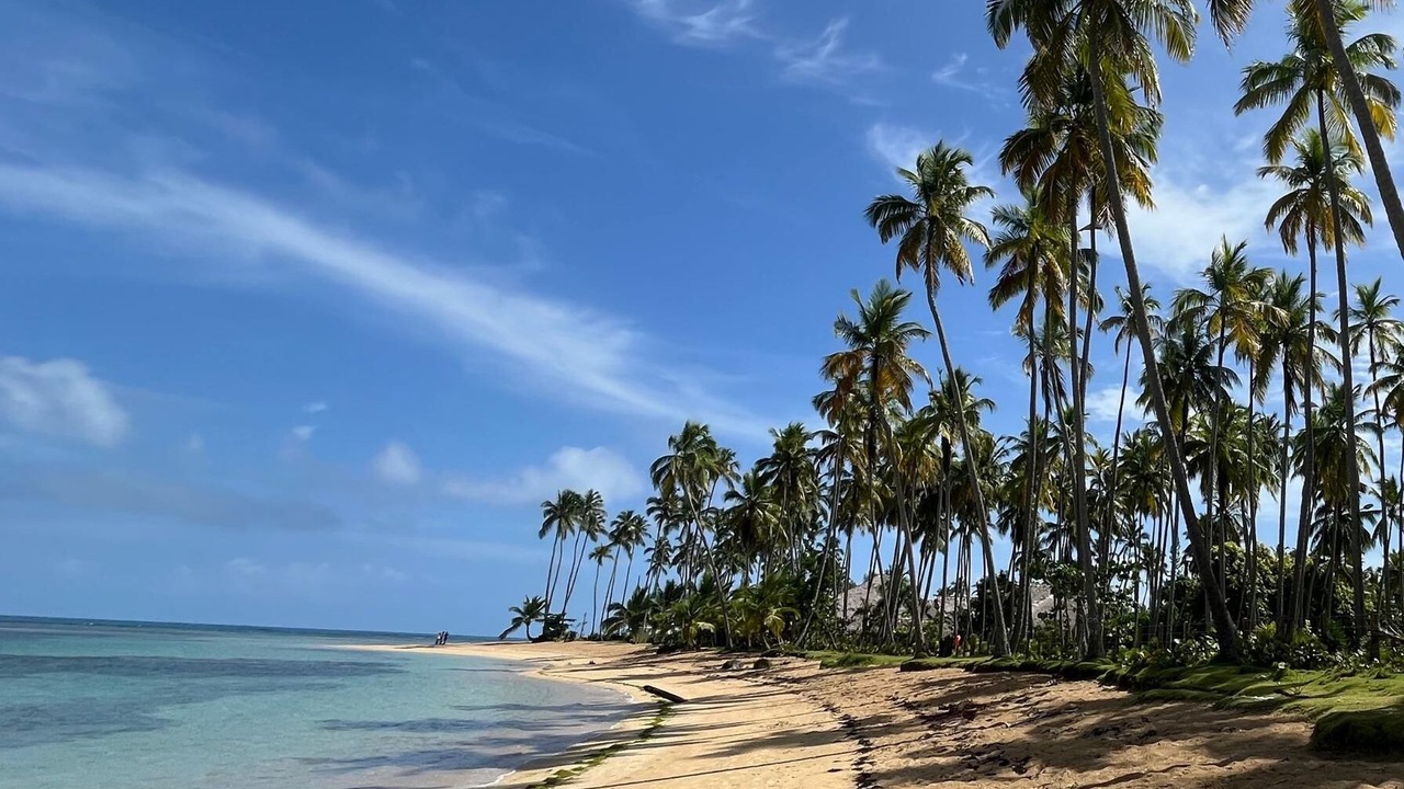 Photo of Others in Las Terrenas