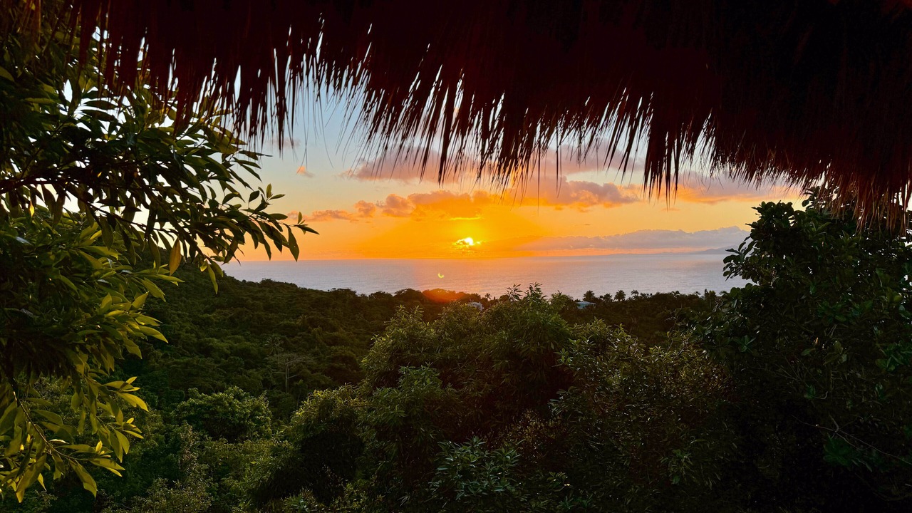 Photo of Others in Las Galeras