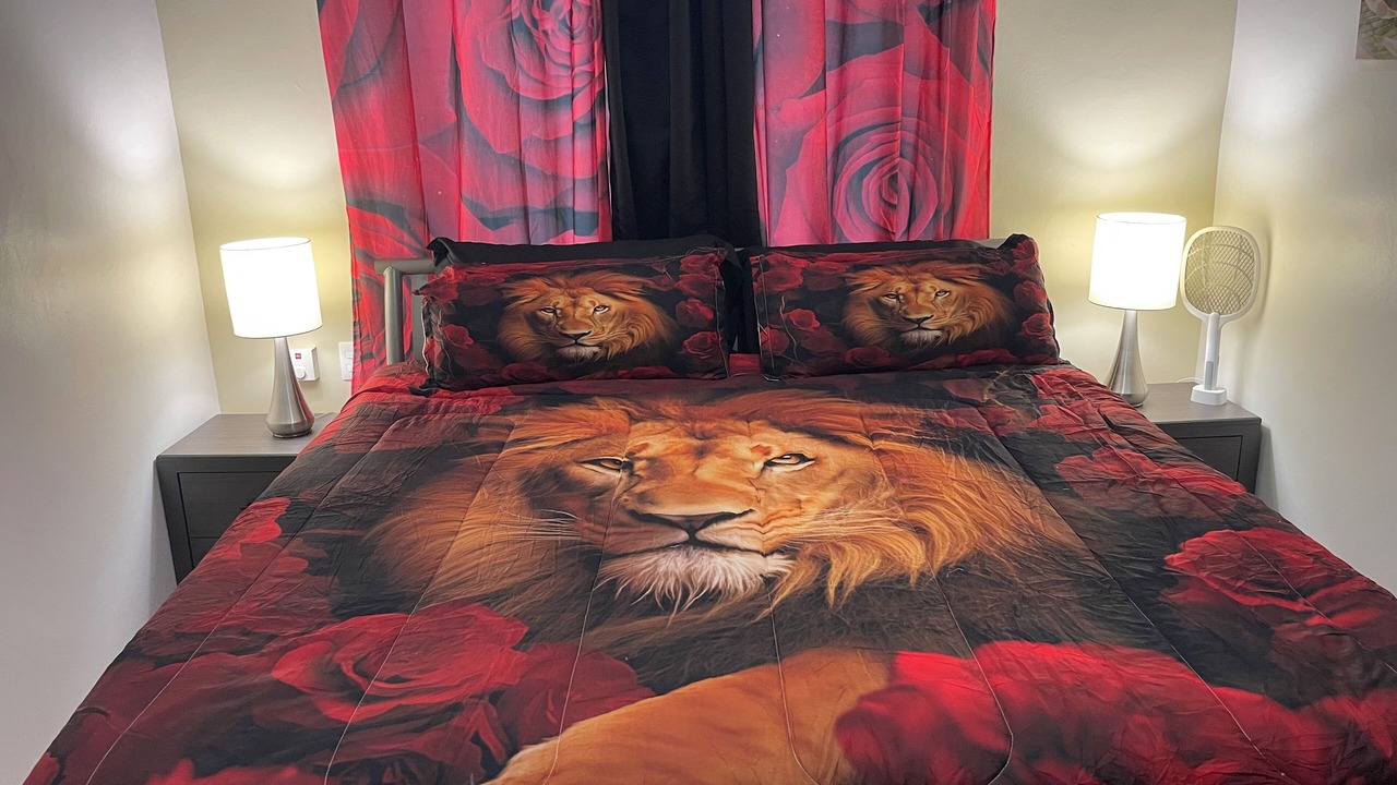 Photo of Bedroom in Urbanizacion Tavarez