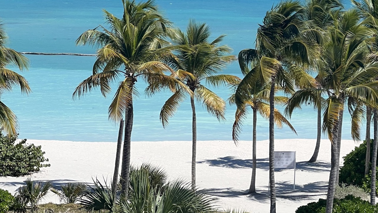 Photo of Others in Cap Cana Marina