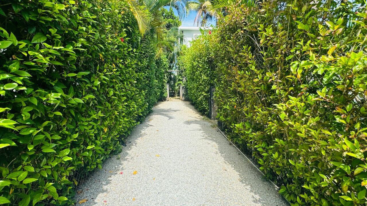 Photo of Others in Las Terrenas