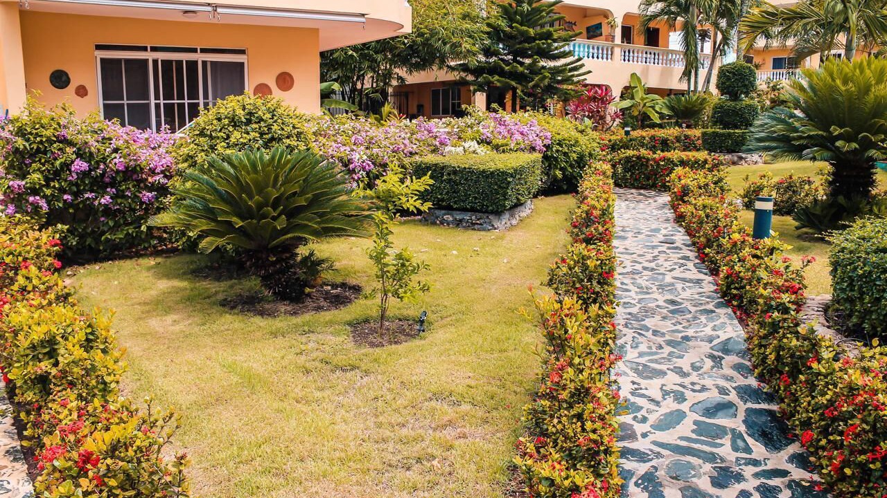 Photo of Outdoor in Boca Chica