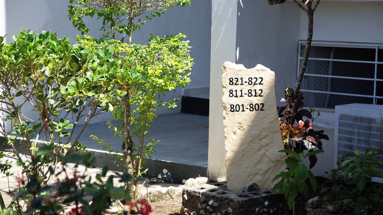 Photo of Outdoor in El Batey