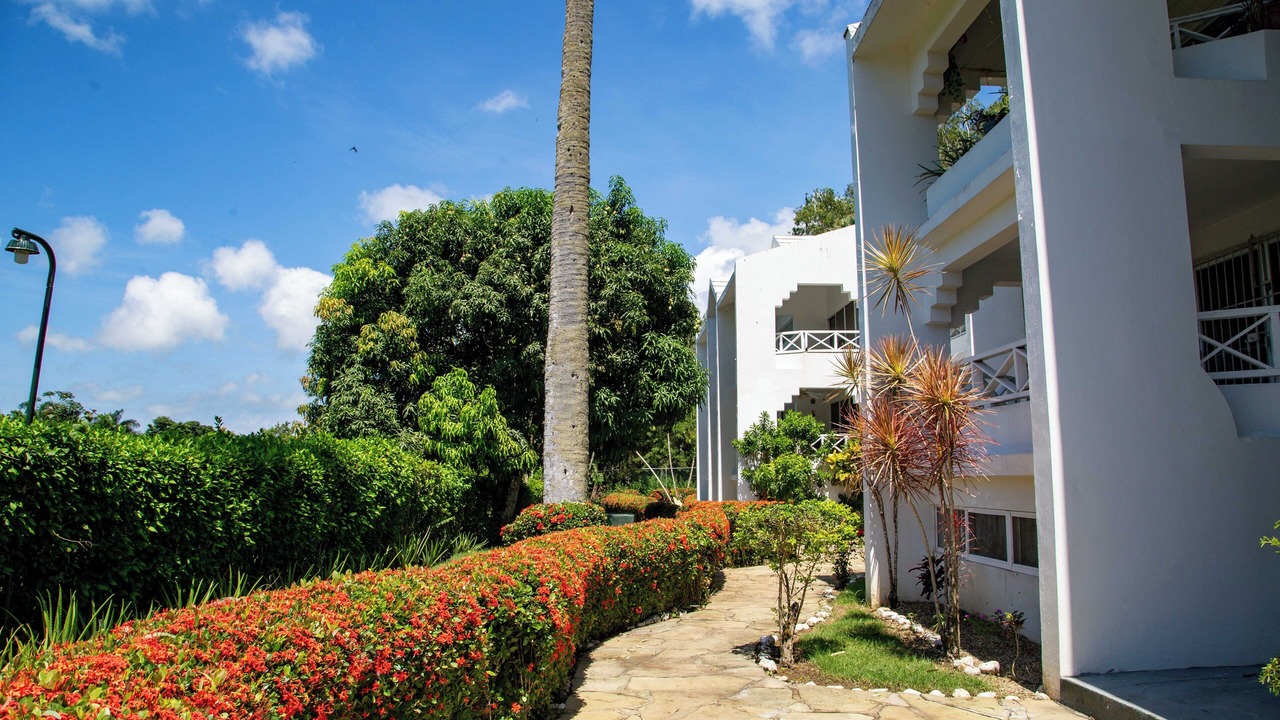 Photo of Outdoor in El Batey