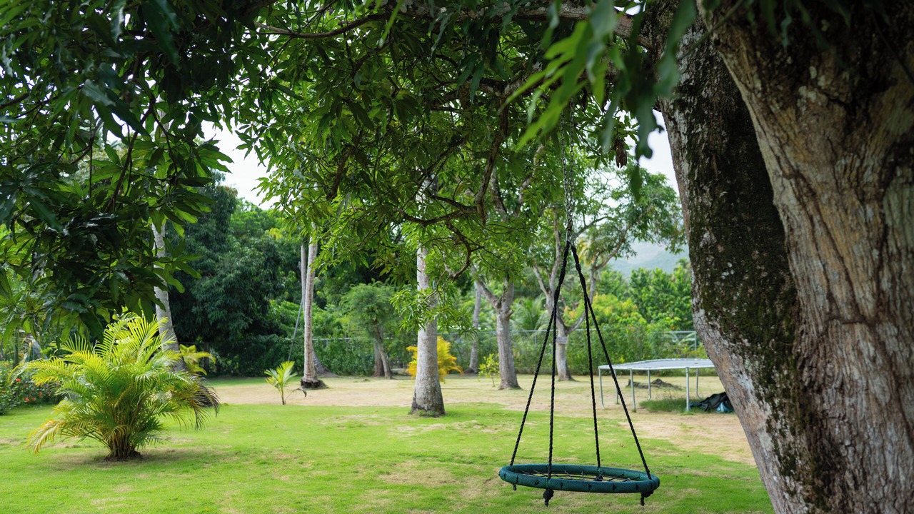 Photo of Outdoor in Sanchez