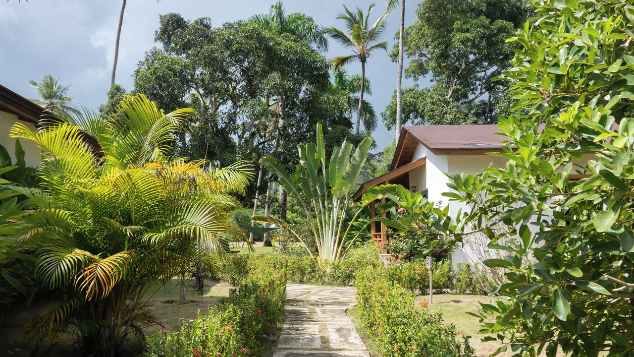 Photo of Outdoor in Sanchez