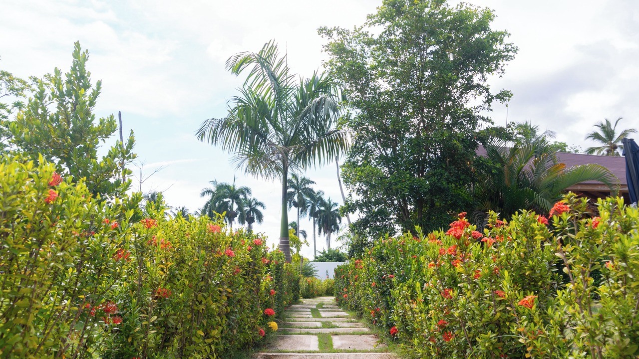 Photo of Outdoor in Sanchez