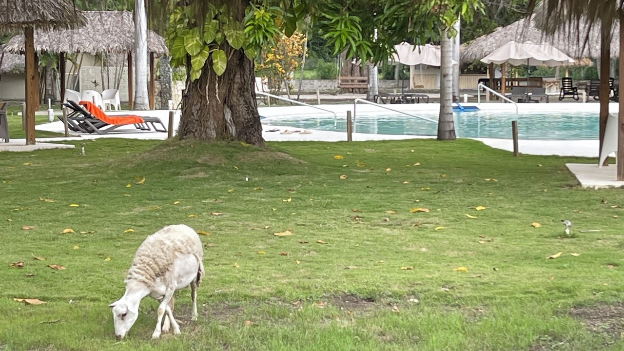 Photo of Outdoor in Caribbean Islands