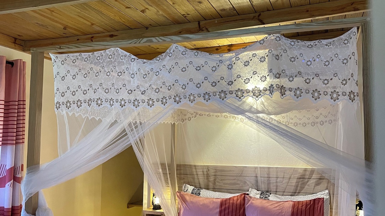 Photo of Bedroom in Nizao