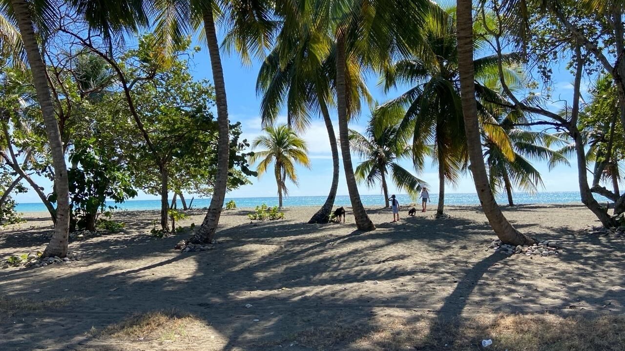 Photo of Others in Nizao