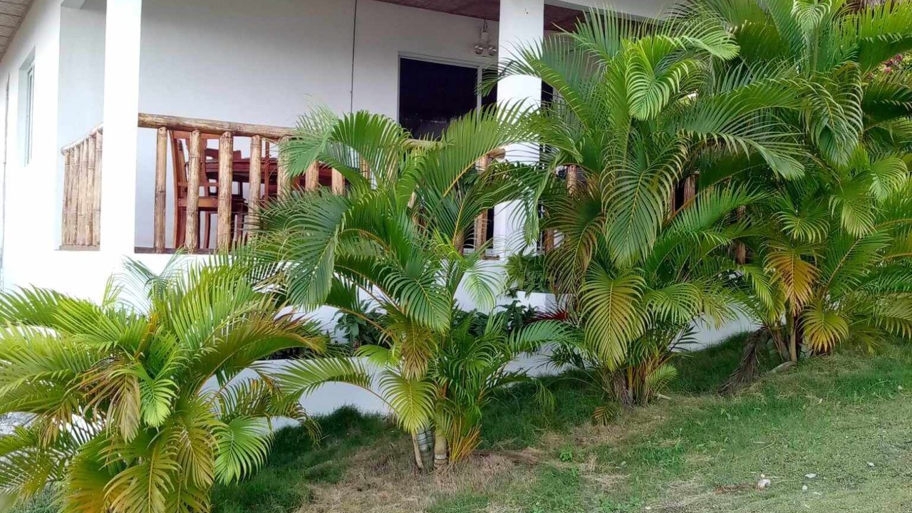 Photo of Outdoor in Oslob