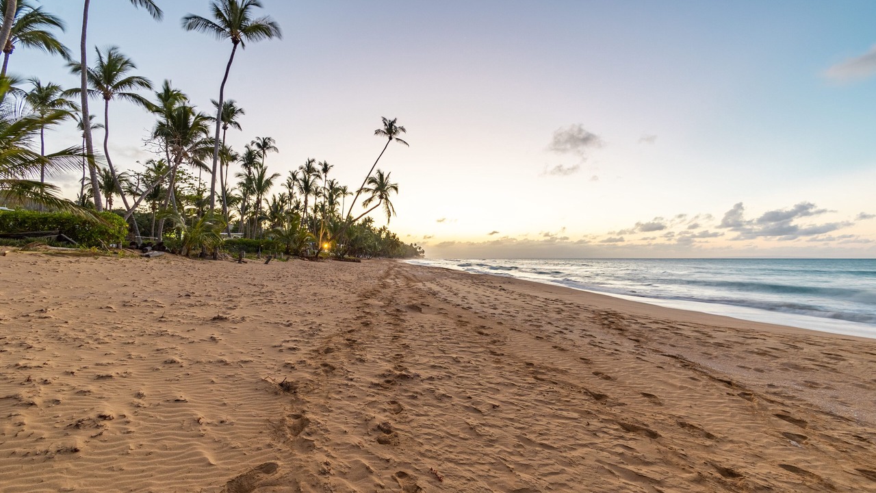 Photo of Others in Las Terrenas