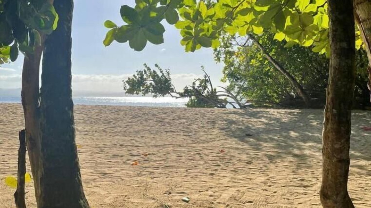 Photo of Others in Rio San Juan