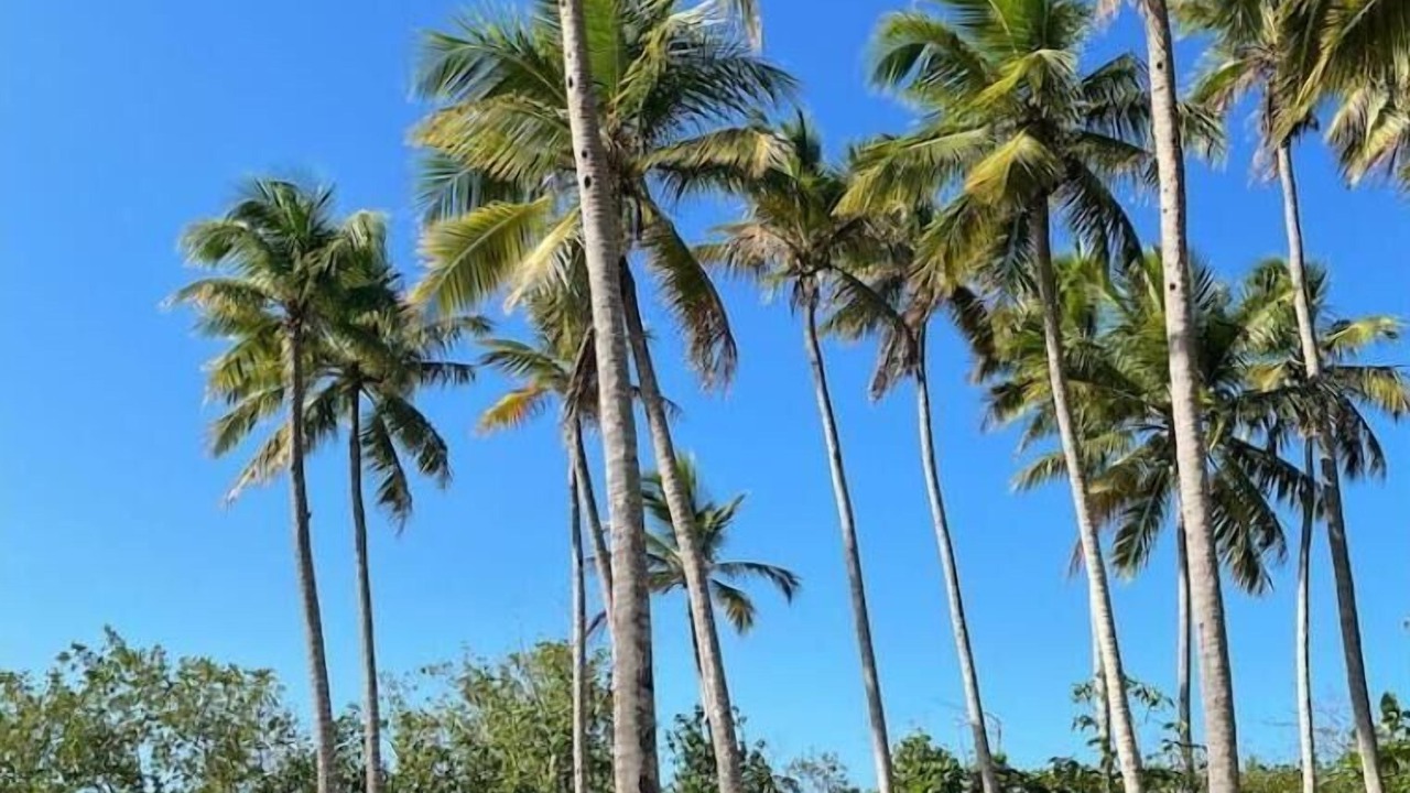 Photo of Others in Rio San Juan