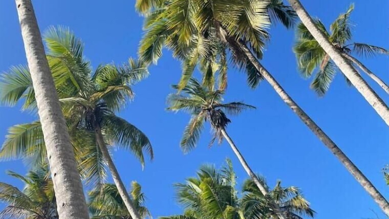 Photo of Others in Rio San Juan