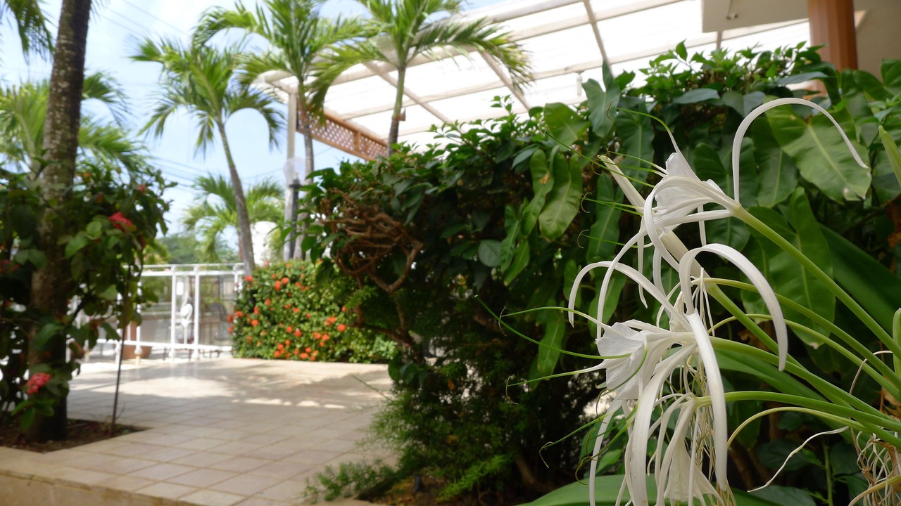 Photo of Outdoor in Villas Del Mar