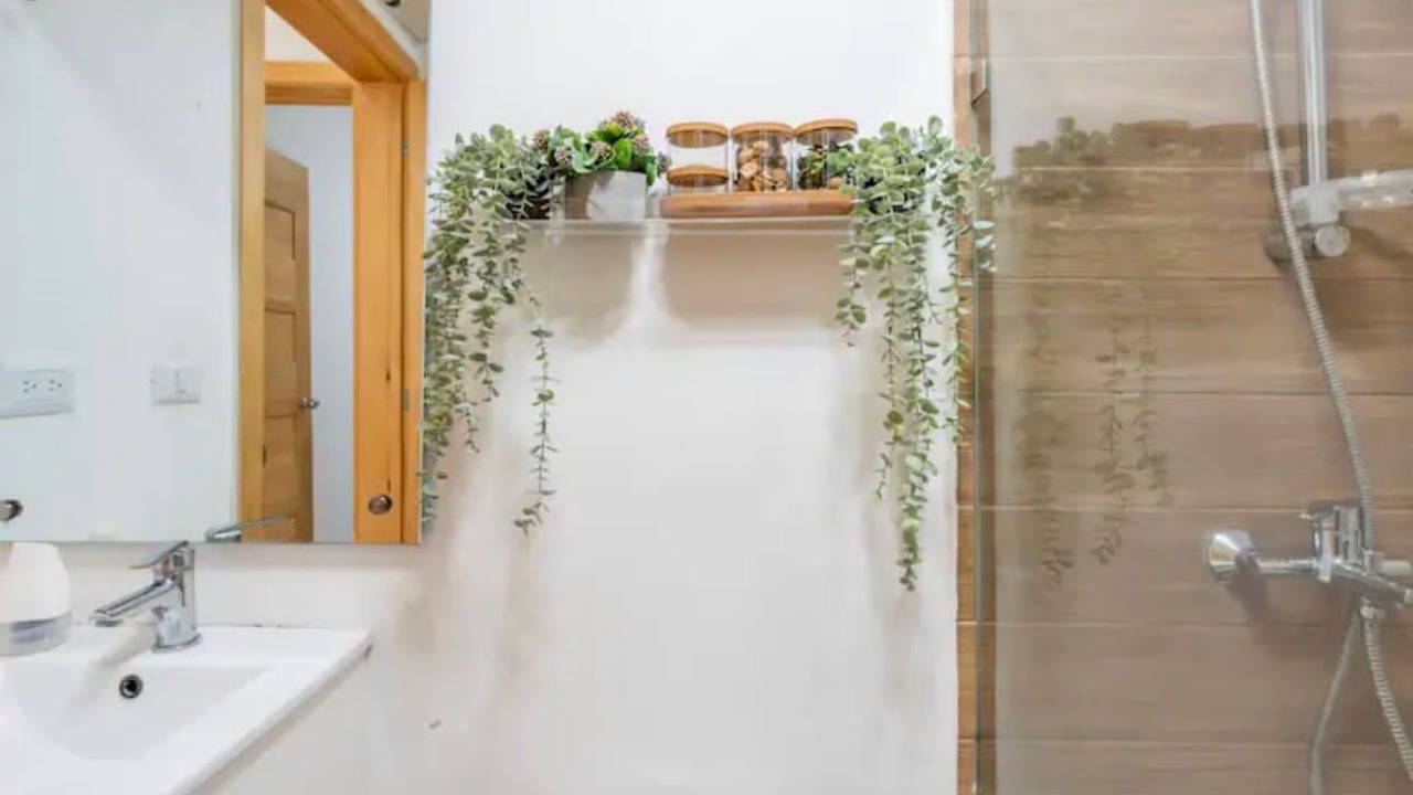 Photo of Bathroom in Boca Chica